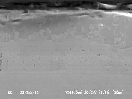 Scanning Electron Microscopy (SEM) SEM images of the coated cross-sections were obtained for representative samples subjected to various coating temperatures (650, 750 and 850 C) and times (1 to 25