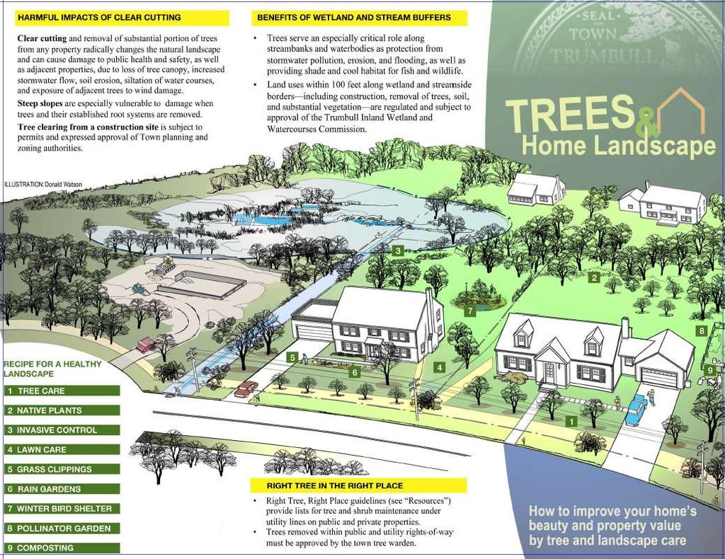 LOCAL TREE MANAGEMENT: TRUMBULL Outreach to property owners & draft Tree Management Policy Trees provide us with critical environmental, economic, and emotional benefits.