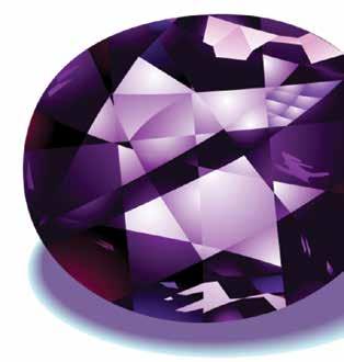 Benefits of the Amethyst Tier As a member of the Amethyst Tier you work closely with Vrinda, receiving more customized mentoring to skyrocket your business, create bigger results and move at a