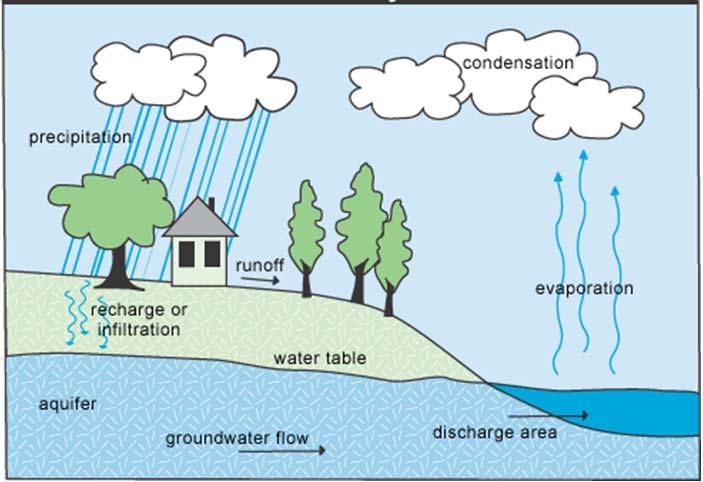 THE HYDROLOGIC CYCLE (NATURAL