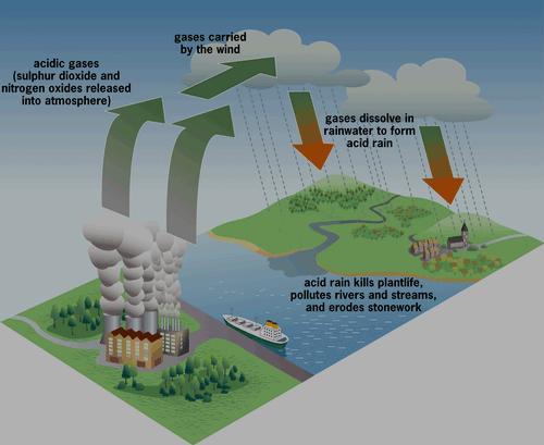 Effects of Pollution Acid Rain: air that contains more acid than