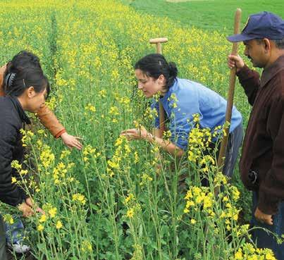 The Plant Breeding and Genetics Section focuses on mutation breeding to increase the diversity of desired traits for crop production and hence to accelerate the breeding of varieties with higher