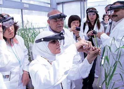 The section is a global leader in the use of irradiation for the induction of genetic mutations in plants for breeding purposes, which is an accelerated version of nature s naturally occurring