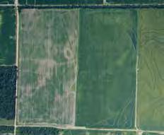 Linears travel back and forth across the field instead of in a circle, covering up to 98% of the field. 3. The third option is to continue to use flood irrigation in the corners. 4.