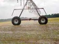 Myth #6: Myth #6 Weeds can t be controlled when irrigating with a center pivot or linear. The most common reason for flood irrigating rice is to control the weeds.