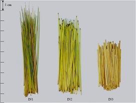 Similar works have been conducted in recent years such as: Chen et al. (2004) on hemp stems, nce et al. (2005) on sunflower stalks, Nazari Galedar et al. (2008) on alfalfa stems and Tavakoli et al.