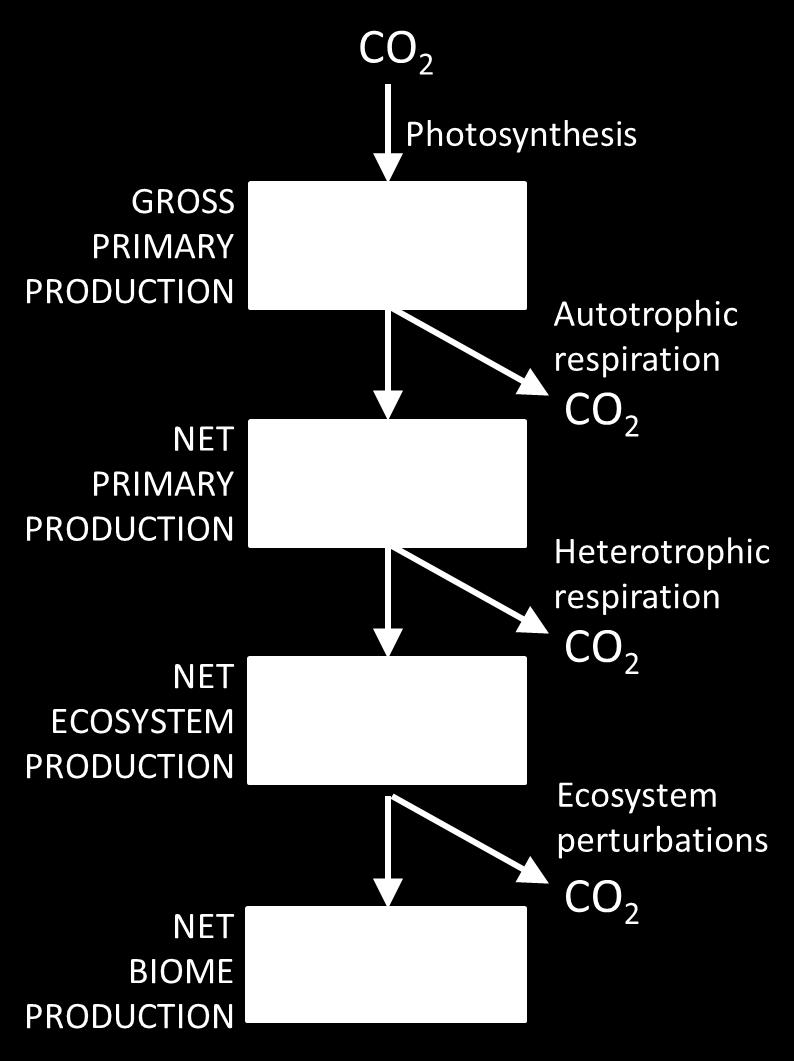 Current net uptake of CO 2 by biosphere (1.