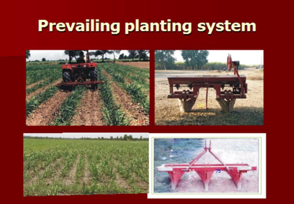 Prevailing System of Weed Management Weed control: In case of manual hoeing,