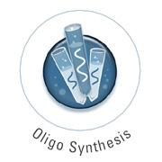 Product Specifications & Manual Oligo dt primers, random primers, sequencing primers Custom Oligo Synthesis, antisense oligos, RNA oligos, chimeric oligos, Affinity Ligands, 2-5 linked Oligos Oligo