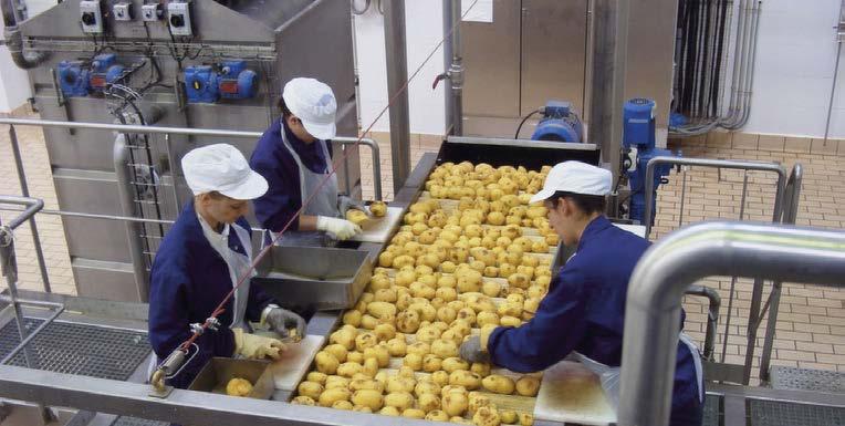 Monday 23 May 2016 Tuesday 24 May 2016 Introduction & Welcome Course Overview Potato Chips Raw Materials Most common chipping varieties used across Europe.