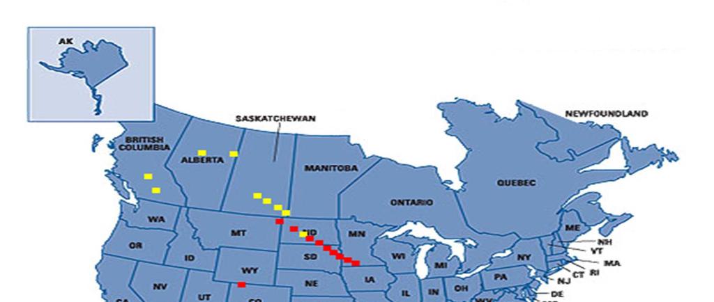 REG Power Plants in North America TransCanada Pipeline