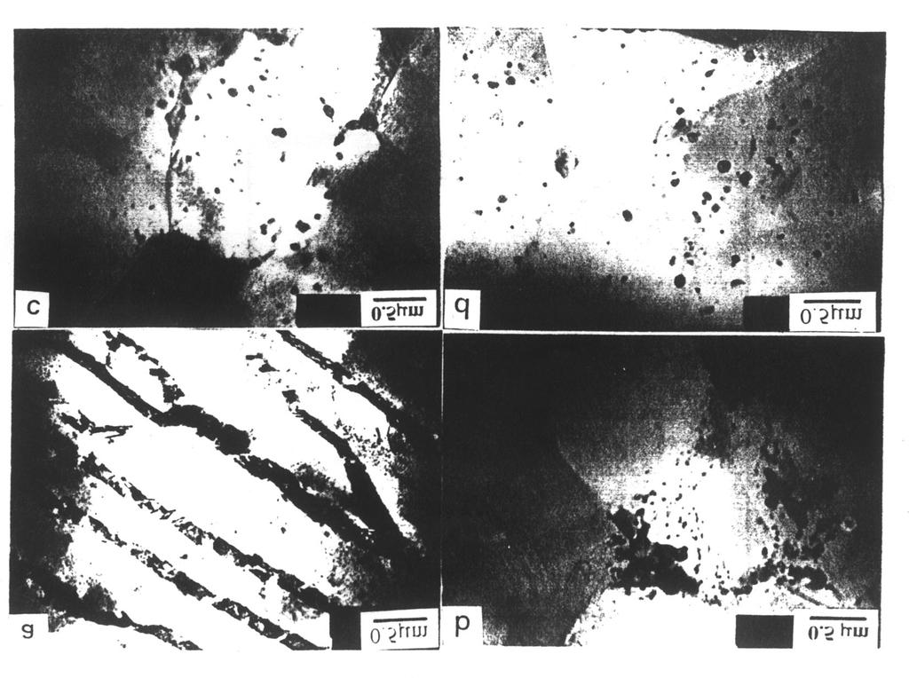 2 Typical TEM micrographs of new Zr alloys after heated at 1050 (a)