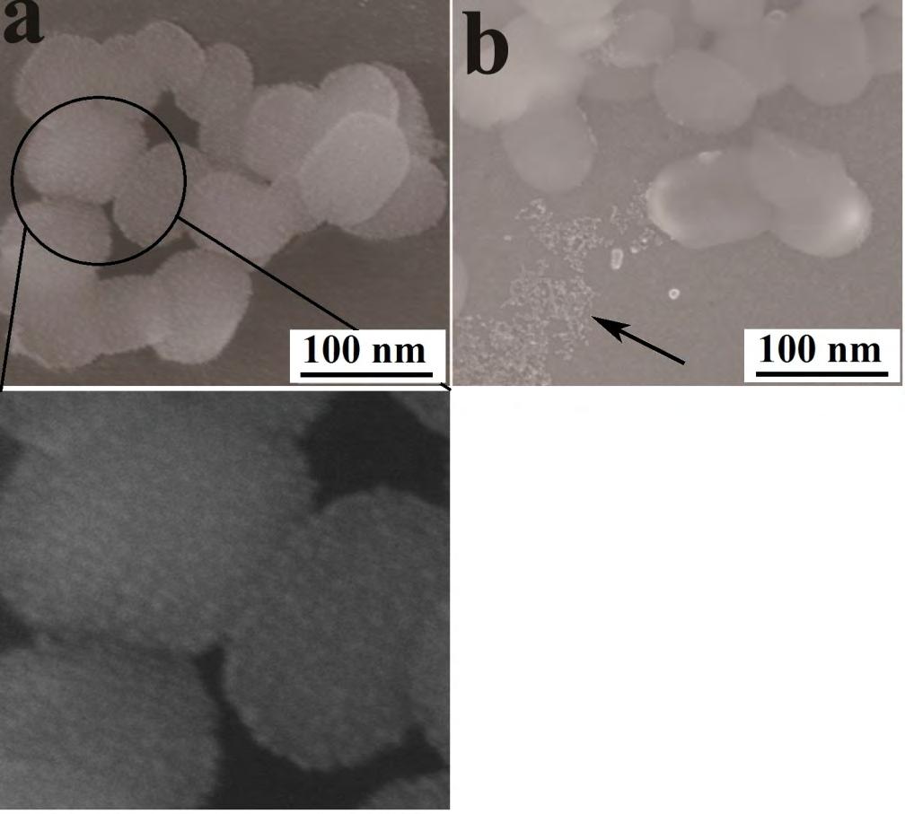 Figure S13. Scanning electron micrographs of MSN (a), AuNPs-capped-MSN before (a) and after (b) adding ATP.