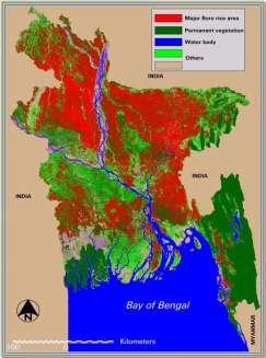 Boro Rice Areas in