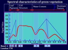 band relationship Spectral characteristics Vegetation Water absorption
