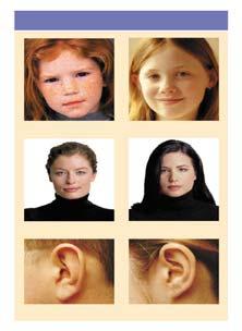 Examples of inherited traits in humans Dominant Traits Recessive Traits Recessive Traits.
