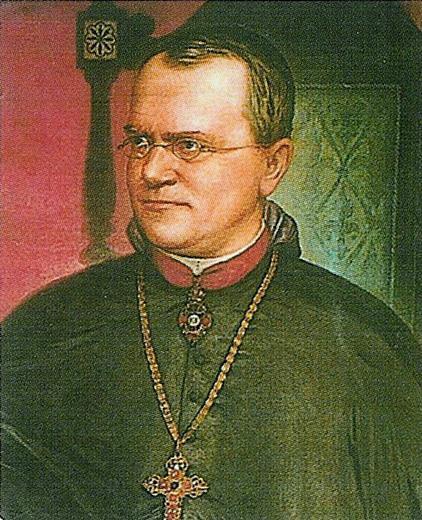 Mendel Mendel was an Austrian monk who was in charge of the mo His work with pea