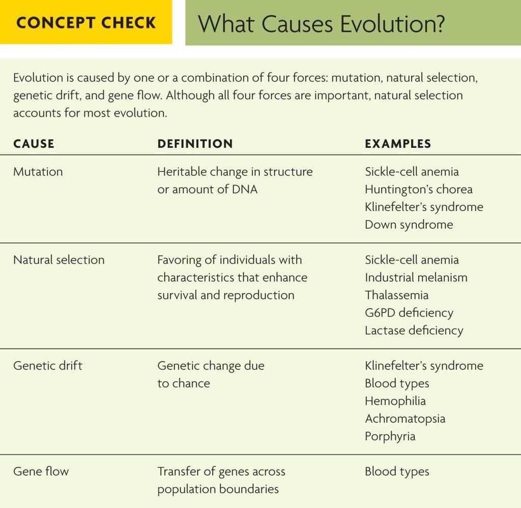 What are the four evolutionary forces and how can they lead to changes in