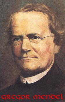 Gregor Mendel (1822-1884) Austrian monk Called the Father of