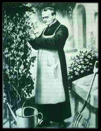 Gregor Mendel (1822-1884) The significance of Mendel's work was not recognized