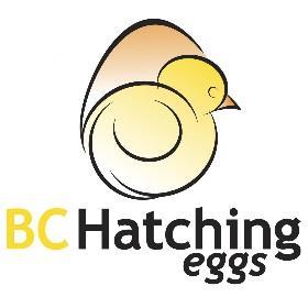 BC Broiler Hatching Egg Commission 180 32160 South