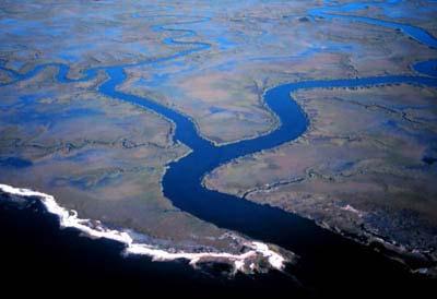 Estuaries Estuaries - Bays or semi-enclosed bodies of brackish water that form where rivers enter the