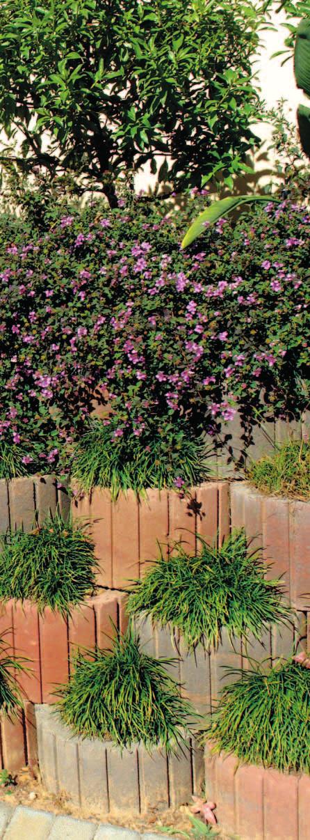 Florawall The ideal earth terrace retaining support Technicrete Florawall, an earth retaining structure which offers true plantability, uninhibited root and water penetration while finished off with