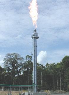 If your plant is near a population center, environmentally sensitive area, or if your space is limited, our experienced flare team will design a fully enclosed ground or multi-point ground flare