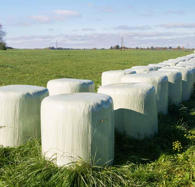 POPE HARVEST Silage film is formulated to work under Australian conditions and delivers consistent performance and price efficiency.