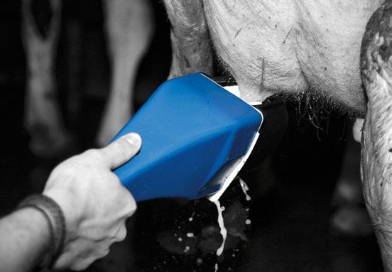 Cross contamination is eliminated from teat to teat which controls the spread of infection compared to other traditional sanitising products.