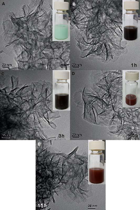 fig. S9. TEM images of the products obtained with the different heating time at 160 C.