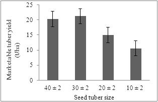 26 Yield and Economic Return of Seedling Tuber Derived from True Potato Seed as Influenced by Tuber Size and Plant Spacing seed tuber (14.70 t ha -1 )(Fig. 1).