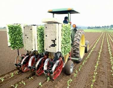 Mechanization reduces labor costs and leads to efficiencies of scale. Per capita production has increased, reducing global hunger.