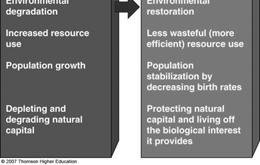 Preserve biodiversity by protecting ecosystem services