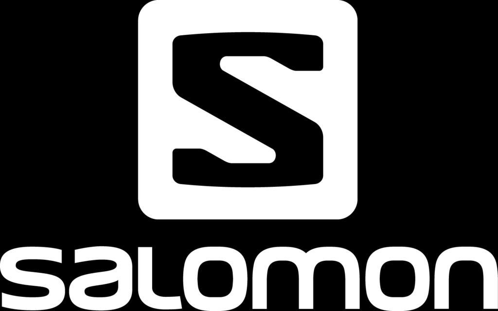 95 tco 2 e per FTE, Salomon is the third most carbon intensive brand, over three times less carbon intensive than the most intensive brand (Precor).