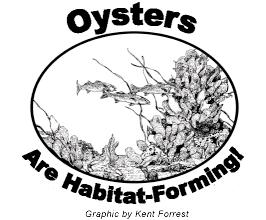 Ecosystem Services Nitrogen removal at harvest Each oyster and clam contains about 0.3-0.