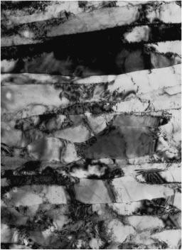microstructure. TEM microstructures clearly show the elongated dislocation substructures involving tangled dislocations and dislocation cells.