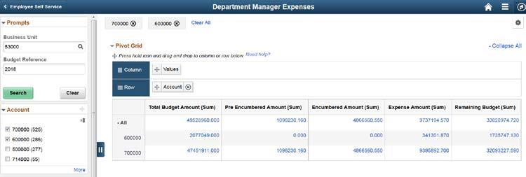 General Ledger Updates and Changes New Department Manager Dashboard Allows users to view financial data, including budgets, pre-encumbrances, encumbrances, and expenses in one