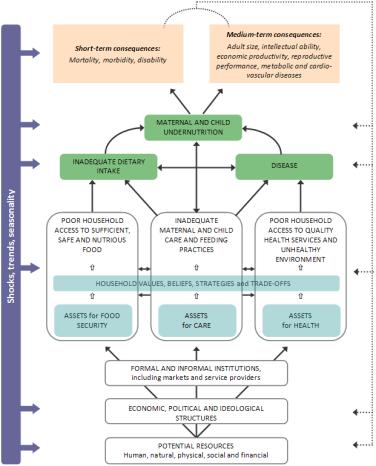 Annex II Conceptual framework for maternal and child undernutrition A comprehensive conceptual framework for maternal and child undernutrition is proposed in the figure below.