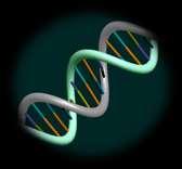 Transforming Factor Molecule of = = Inheritance He discovered that in every DNA sample, the
