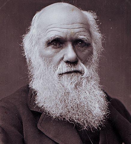 Charles Darwin Alfred Wallace: patterns in the geographical distribution of living and fossil species could be