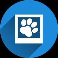 CASE STUDY COMPASSION-FIRST PET HOSPITALS Data Discovery is Core to the Business Compassion-First Pet Hospitals is a growing network of specialty, emergency and hybrid animal hospitals located