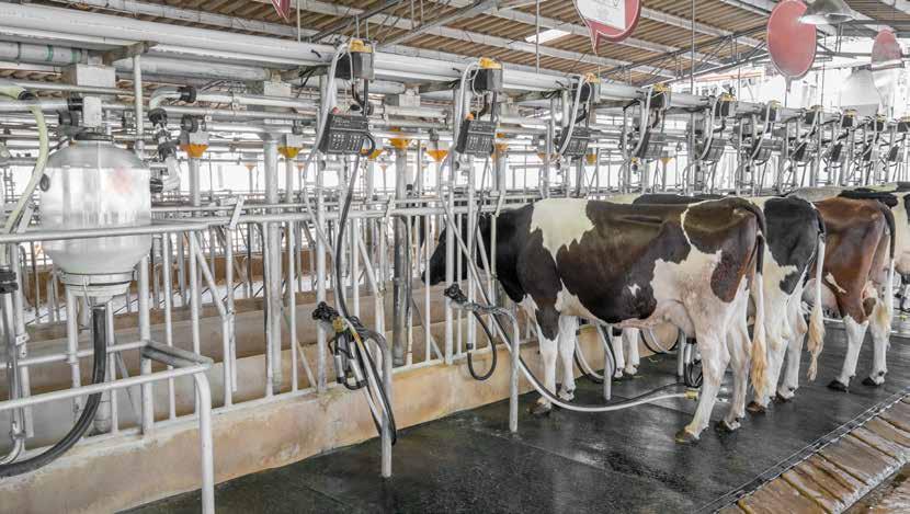 Going big on SMALL and MEDIUM-SIZED ENTERPRISES Dairy cooperatives in France and Poland Due to the liberalisation of milk production in the EU through the abolition of the EU milk quota system, there