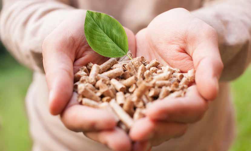 CLIMATE and ENVIRONMENT for everyone s future EUR 75 million A biomass-fueled combined heat and power plant in Finland The EIB has provided a EUR 75 million loan to a EUR 228 million project of Lahti