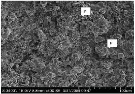 Fig. 4: EDS analysis of the MoB/CoCr section coating. Fig. 5: SEM surface morphology of MoB/CoCr coating. The SEM section morphology of MoB/CoCr coatings is shown in Figure 6.