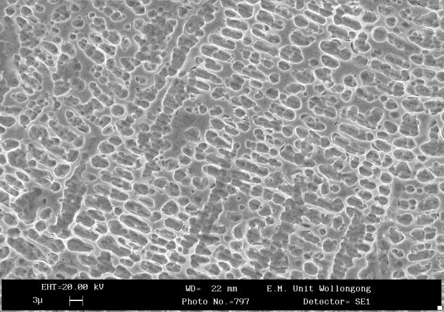 5). Fig. 6 Weight loss of the Stellite 12coating samples for tests run for 0-7500 revolutions at speed of 50 rpm and load of 20 N. Fig. 4 SEM micrograph of HVOF Stellite 12 coating Fig.