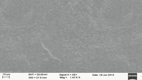 at 900 Cfor50cycles. 3.2. SEM Analysis. Figure 3 shows the SEM micrographs of SAE-431 boiler steel and Stellite-6 and Stellite-21 coatings after exposure to hot corrosion environment for 50 cycles.