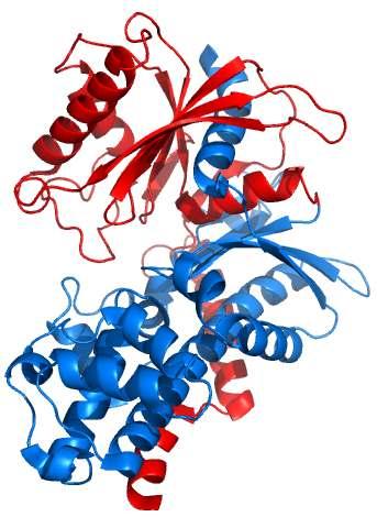 Ribosomal protein S5 domain