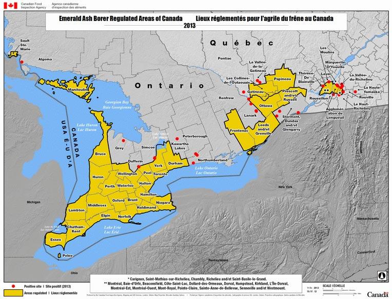 Map 1: Emerald Ash Borer regulated Areas of Canada (Canadian Food Inspection Agency 2013) Areas regulated by Ministerial Order shown in yellow. 3.