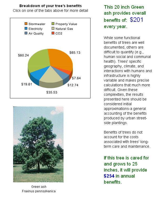 Appendix B The following is an example of how Burnsville s tree inventory can be used to assess tree values and benefits to the community.